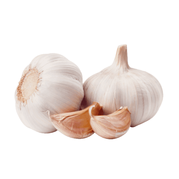 Allium sativum (Garlic)