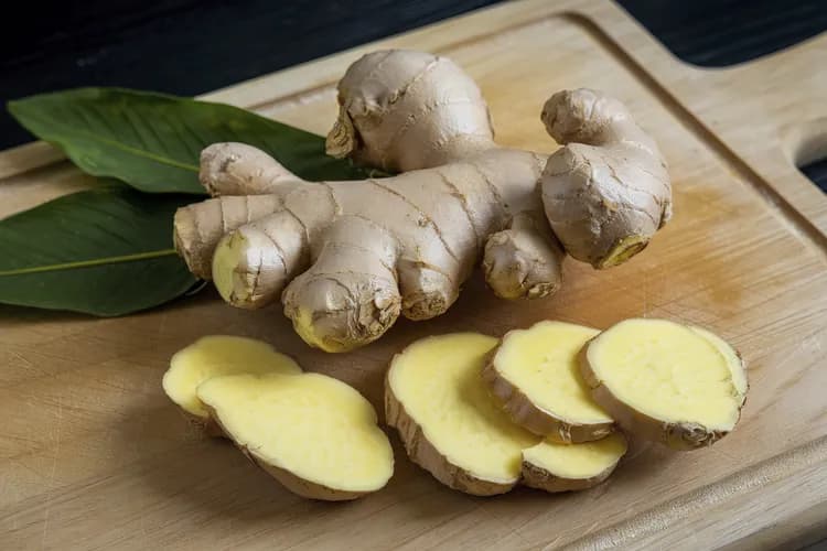 Zingiber officinale (Ginger)