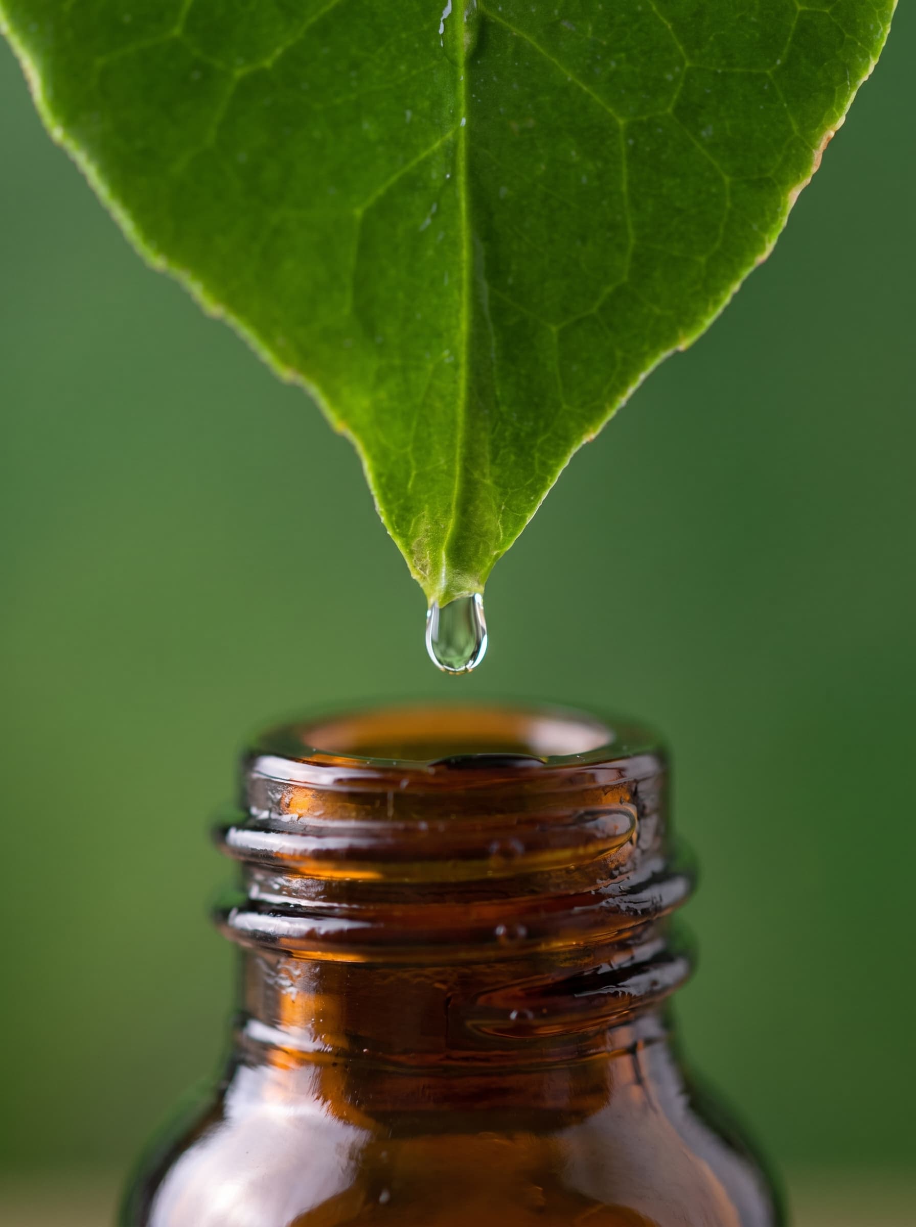 Dr. Martins & Herbal Formulations
